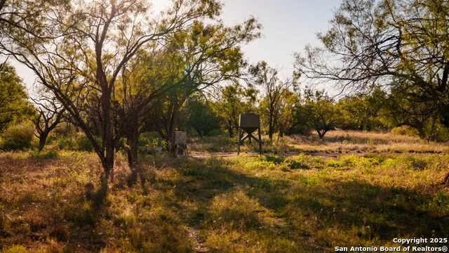 7702 ranch road 965 Llano, TX 78643